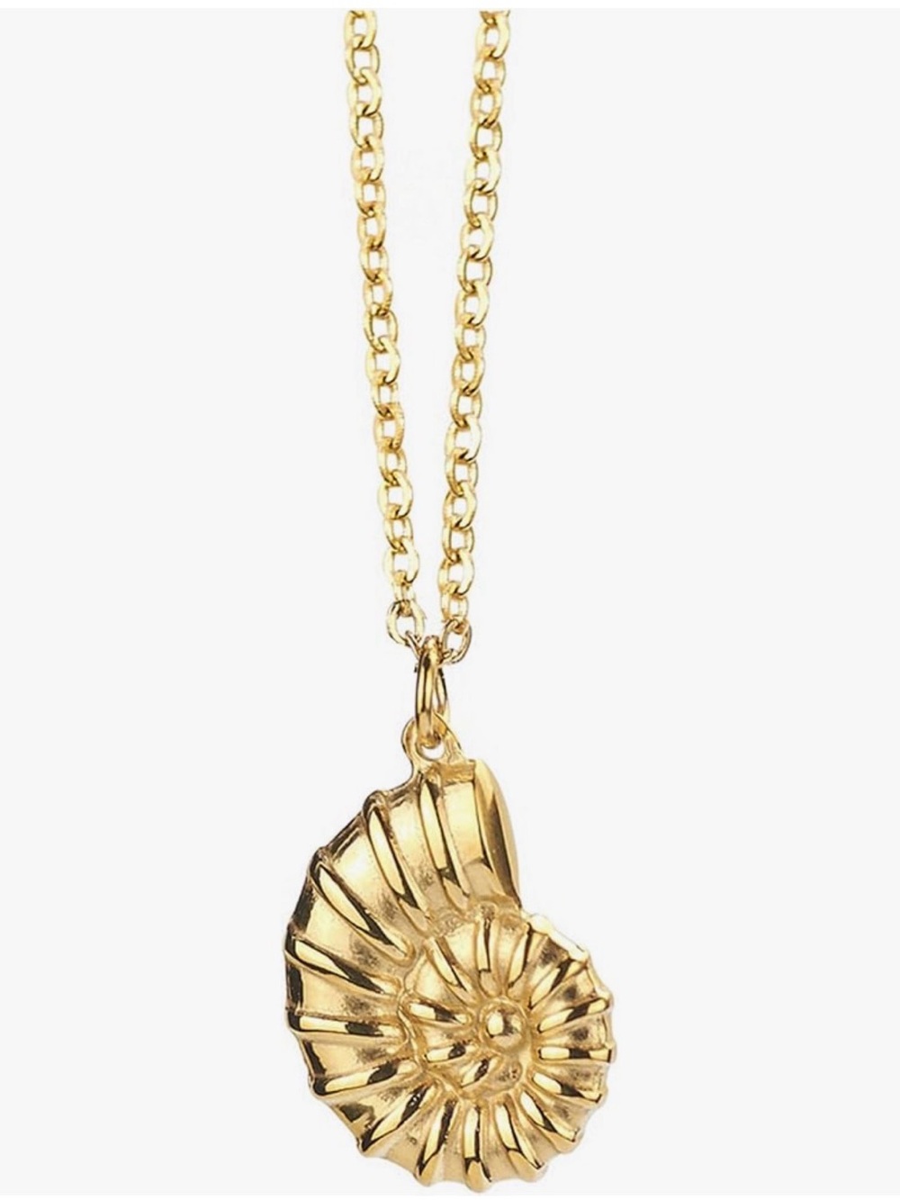 Shell Nautical Pendant Necklace - Statement Necklace!